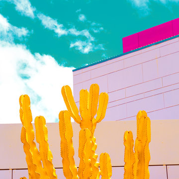 Colorful Cactus art. Cacti lover concept