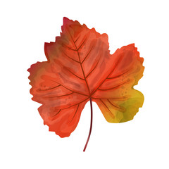 Hand drawn watercolor leaf isolated on white background, digital painting
