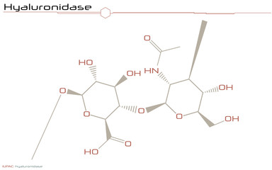Large and detailed infographic of the molecule of Hyaluronidase