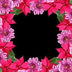 Beautiful floral background of Christmas stars and chrysanthemums 