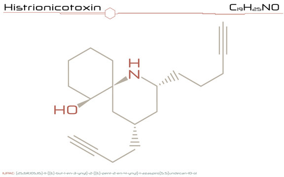 Large and detailed infographic of the molecule of Histrionicotoxin