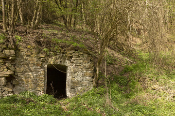 alter Steinkeller im Frühlingswald