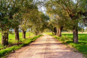 Wiejskie klimaty Podlasie © podlaski49
