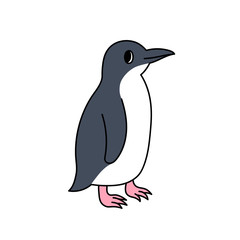 フェアリーペンギン