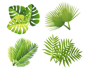 Set of tropical green leaves. Flat style palm leaf. Exotic plants icon. Vector illustration isolated on white background © Alfmaler