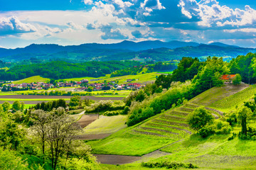 Fototapeta na wymiar Zagorje countryside Croatia. / Scenic view at springtime in Croatia, Zagorje region field. 