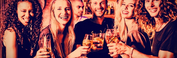 Portrait of smiling friends toasting drinks