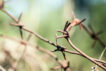 old and rusty barbed wire against nature background