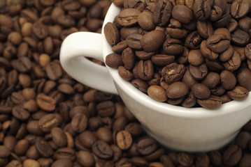 Top view of a cup filled with coffee beans
