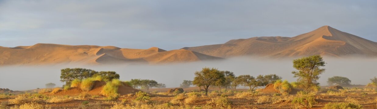 Sunrise over morning mist in the Namib Desert near Sossusvlei, Namibia, Africa