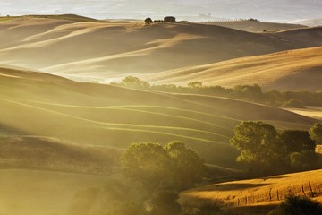 Typical Tuscan landscape near San Quirico d'Orcia, Val d'Orcia region, early morning mist, Tuscany, Italy, Europe