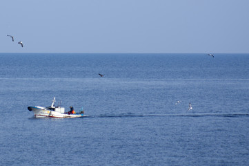 Barca da pesca