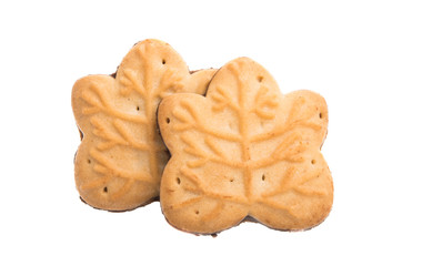 biscuit isolated