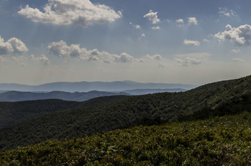 Fototapeta premium panorama Bieszczady połoniny