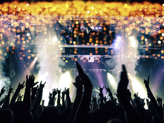 Concert arena crowd point of view © CesareFerrari