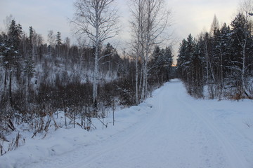 Зимняя природа Сибири