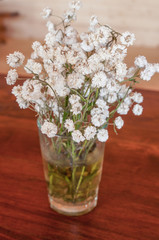 White little flowers in the glass