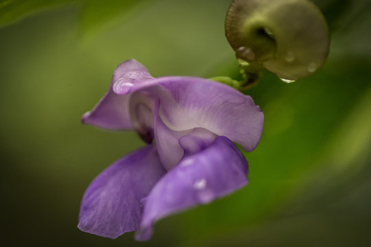 Droplets