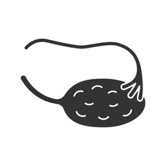 Ovary and fallopian tube glyph icon