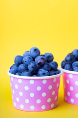 blueberry in a cheerful bright glass