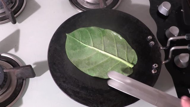 AKDA, AAK. Calotropis procera Asclepiadaceae flowers,aak leaf,aakda leaves,aak leaves on heat tawa,heat aak leaf