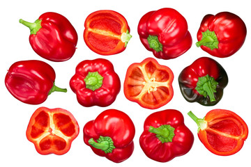 Gogosari pepper, top view