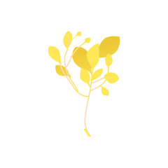 Abstract autumn yellow plant flower icon. Meadow, garden romantic wedding invitation card, autumnal seasonal holiday, harvest decoration element. Floral vector illustration isolated