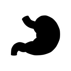 Stomach vector icon