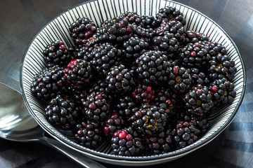 Eine Schale Brombeeren
