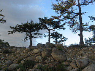 Берег Байкала