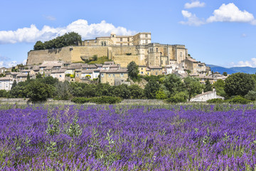 village Grignan situated on a hill with lavender, Provence, France, village with castle Château de Grignan, in Drôme department, region Auvergne-Rhône-Alpes