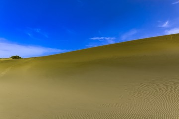 Salinas bani RD dunas