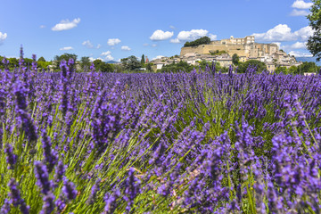 Fototapeta premium village Grignan situated on a hill with lavender, Provence, France, village with castle Château de Grignan, in Drôme department, region Auvergne-Rhône-Alpes