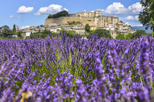 village Grignan situated on a hill with lavender, Provence, France, village with castle Ch&acirc;teau de Grignan, in Dr&ocirc;me department, region Auvergne-Rh&ocirc;ne-Alpes