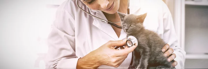 Fotobehang Dierenarts Dierenarts onderzoekt kitten met stethoscoop