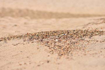 Fototapeta na wymiar Pebbles on a sandy beach. Coast of the sea. Background.
