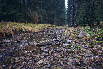 River Bila Ostravice in Moravian-Silesian Beskids mountain range in the Czech Republic, view in Bila village