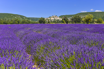 Plakat lavender filed with village Banon, Provence, France, panorama view, department Alpes-de-Haute-Provence