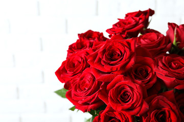 Beautiful red rose flowers on light background
