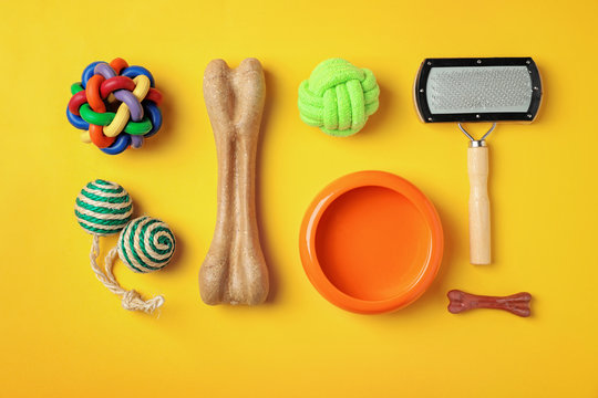 Flat Lay Composition With Accessories For Dog And Cat On Color Background. Pet Care