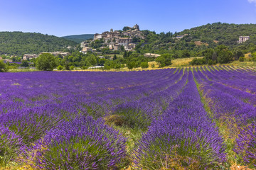 Plakat hills landscape with small town and lavender, village Simiane-la-Rontonde, Provence, France, department Alpes-de-Haute-Provence