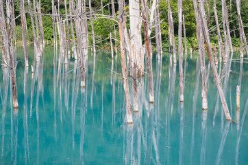 青い池