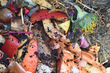 View into a bio container  with various organic wastes for recycling