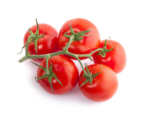 tomatoes on the white background