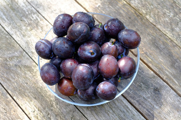 Frische Pflaumen / Zwetschgen auf Tisch
