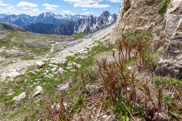 View of Lavaredo hut, with a beautiful dolomitic landscape in the background, Dolomites, Italy