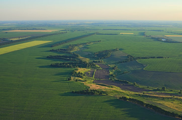 Aerial view over the agricultural fields on a sunny summer day. Kyiv region, Ukraine