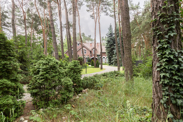 Woods with bushes and trees with an english style house in the background
