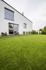 Fototapeta na wymiar Beautiful green lawn in the backyard of a modern residential house with plants on a wooden terrace and big windows