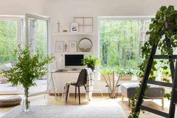 Blanket on chair next to desk in bright living room interior with windows and plants. Real photo